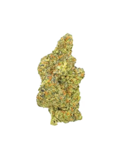 Exotic Flower - Purple Panty Dropper - Indica