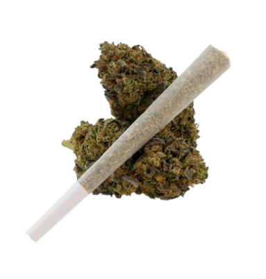THCa Diamond Infused Preroll - Girl Scout Cookies - Hybrid